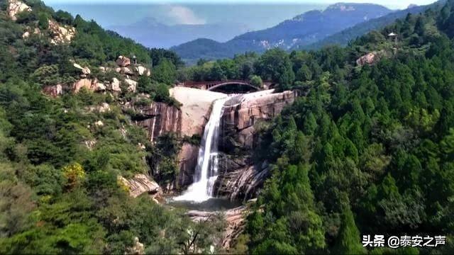 “税力量”护航，重大项目建设冲刺开门红