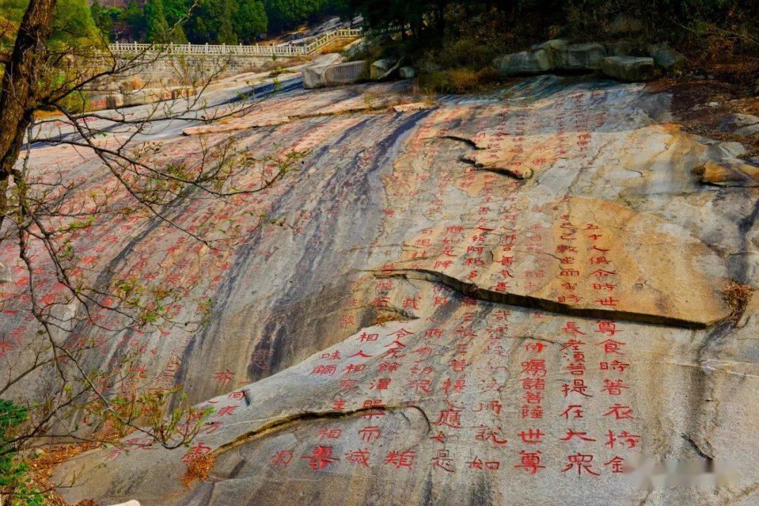 研究生笔试过了面试要自己找导师吗?游戏画面